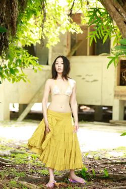悠悠寸草心第二部